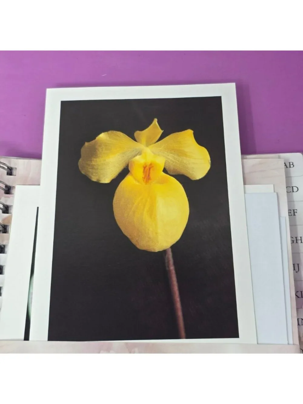 Orchids Greeting Card Book Spiral Organizer w/19 Cards & Envelopes BizzyBee 2005